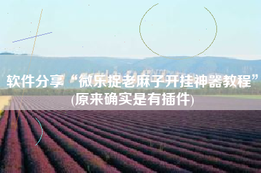 软件分享“微乐捉老麻子开挂神器教程”(原来确实是有插件) 软件分享“微乐捉老麻子开挂神器教程”(原来确实是有插件)