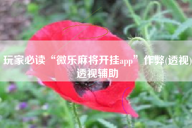 玩家必读“微乐麻将开挂app”作弊(透视)透视辅助