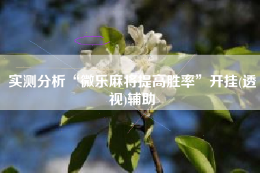 实测分析“微乐麻将提高胜率”开挂(透视)辅助