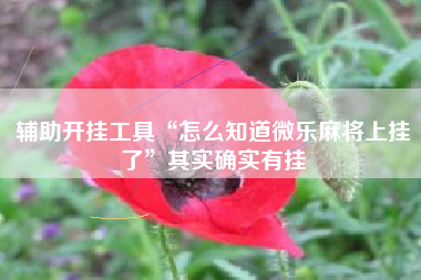 辅助开挂工具“怎么知道微乐麻将上挂了”其实确实有挂