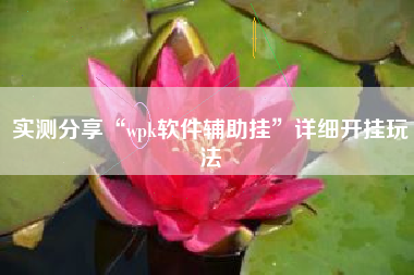 实测分享“wpk软件辅助挂”详细开挂玩法