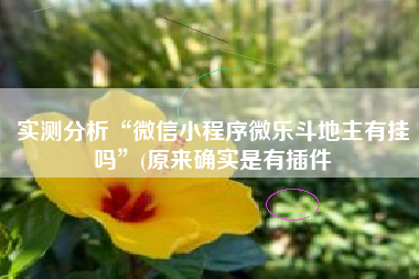 实测分析“微信小程序微乐斗地主有挂吗”(原来确实是有插件