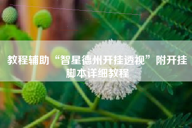 教程辅助“智星德州开挂透视”附开挂脚本详细教程 教程辅助“智星德州开挂透视”附开挂脚本详细教程