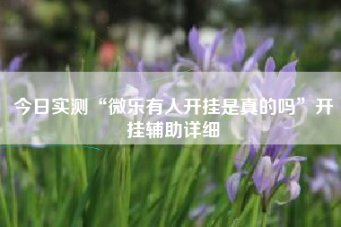 今日实测“微乐有人开挂是真的吗”开挂辅助详细