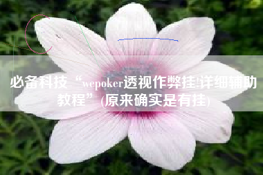 必备科技“wepoker透视作弊挂!详细辅助教程”(原来确实是有挂)