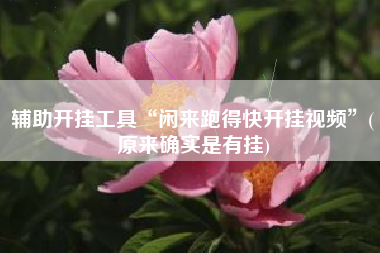 辅助开挂工具“闲来跑得快开挂视频”(原来确实是有挂)