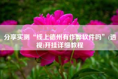 分享实测“线上德州有作弊软件吗”(透视)开挂详细教程 分享实测“线上德州有作弊软件吗”(透视)开挂详细教程