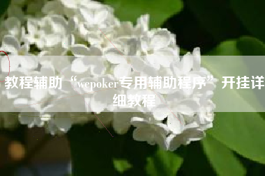 教程辅助“wepoker专用辅助程序”开挂详细教程 教程辅助“wepoker专用辅助程序”开挂详细教程