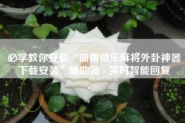 必学教你安装“湖南微乐麻将外卦神器下载安装”辅助器 - 实时智能回复