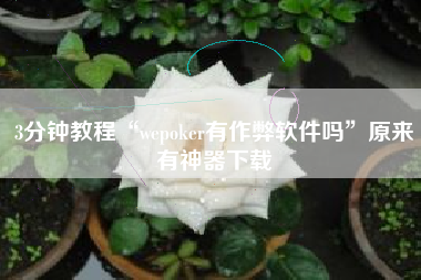 3分钟教程“wepoker有作弊软件吗”原来有神器下载 3分钟教程“wepoker有作弊软件吗”原来有神器下载