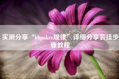 实测分享“hhpoker规律”详细分享装挂步骤教程