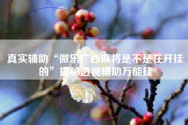 真实辅助“微乐广西麻将是不是在开挂的”揭秘透视辅助万能挂