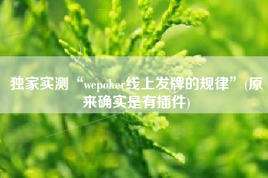 独家实测“wepoker线上发牌的规律”(原来确实是有插件)