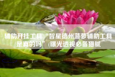 辅助开挂工具“智星德州菠萝辅助工具是真的吗”(曝光透视必备猫腻