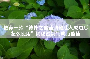 推荐一款“德扑之星辅助器注入成功后怎么使用”揭秘透视辅助万能挂