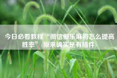 今日必看教程“微信微乐麻将怎么提高胜率”(原来确实是有插件)