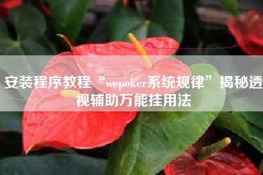 安装程序教程“wepoker系统规律”揭秘透视辅助万能挂用法