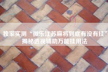 独家实测“微乐江苏麻将到底有没有挂”揭秘透视辅助万能挂用法 独家实测“微乐江苏麻将到底有没有挂”揭秘透视辅助万能挂用法