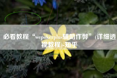 必看教程“wepokerplus辅助作弊”(详细透视教程)-知乎