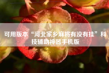 可用版本“河北家乡麻将有没有挂”科技辅助神器手机版 可用版本“河北家乡麻将有没有挂”科技辅助神器手机版