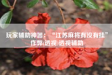 玩家辅助神器：“江苏麻将有没有挂”作弊(透视)透视辅助