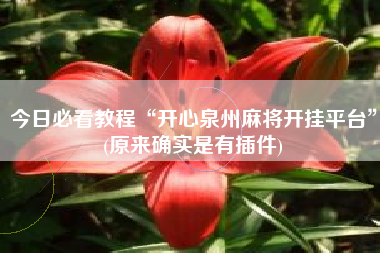 今日必看教程“开心泉州麻将开挂平台”(原来确实是有插件)