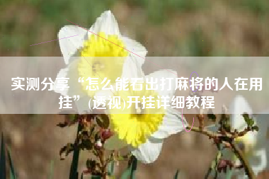 实测分享“怎么能看出打麻将的人在用挂”(透视)开挂详细教程