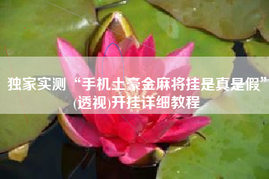 独家实测“手机土豪金麻将挂是真是假”(透视)开挂详细教程