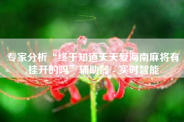 专家分析“终于知道天天爱海南麻将有挂开的吗”辅助器 - 实时智能