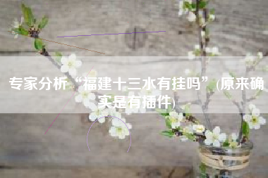 专家分析“福建十三水有挂吗”(原来确实是有插件)