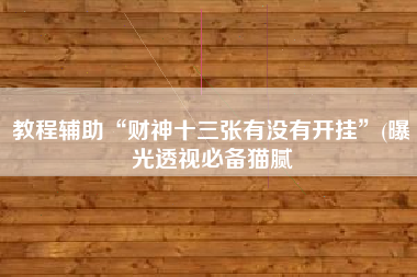 教程辅助“财神十三张有没有开挂”(曝光透视必备猫腻