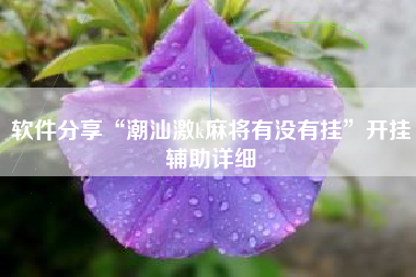 软件分享“潮汕激k麻将有没有挂”开挂辅助详细