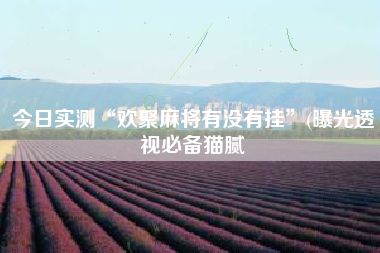 今日实测“欢聚麻将有没有挂”(曝光透视必备猫腻