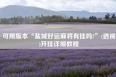 可用版本“盐城好运麻将有挂吗?”(透视)开挂详细教程
