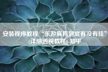 安装程序教程“东游麻将到底有没有挂”(详细透视教程)-知乎