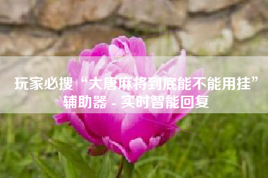 玩家必搜“大唐麻将到底能不能用挂”辅助器 - 实时智能回复