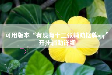 可用版本“有没有十三张辅助摆牌app”开挂辅助详细
