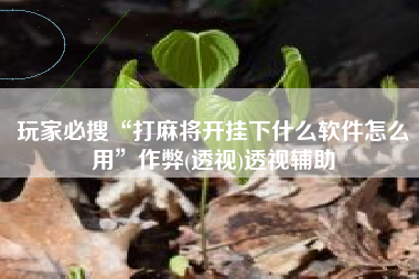 玩家必搜“打麻将开挂下什么软件怎么用”作弊(透视)透视辅助