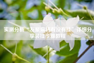 实测分析“友聚麻将有没有挂”详细分享装挂步骤教程 实测分析“友聚麻将有没有挂”详细分享装挂步骤教程