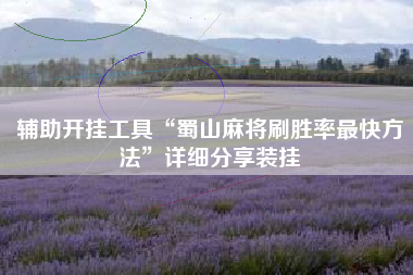 辅助开挂工具“蜀山麻将刷胜率最快方法”详细分享装挂