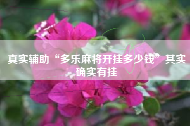 真实辅助“多乐麻将开挂多少钱”其实确实有挂