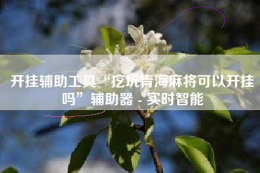 开挂辅助工具“挖坑青海麻将可以开挂吗”辅助器 - 实时智能