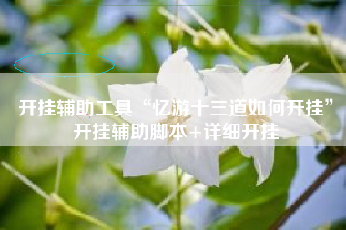 开挂辅助工具“忆游十三道如何开挂”开挂辅助脚本+详细开挂