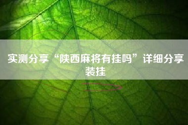 实测分享“陕西麻将有挂吗”详细分享装挂 实测分享“陕西麻将有挂吗”详细分享装挂
