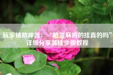 玩家辅助神器：“哈灵麻将的挂真的吗”详细分享装挂步骤教程