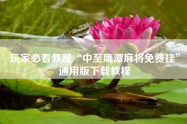 玩家必看教程“中至鹰潭麻将免费挂”通用版下载教程