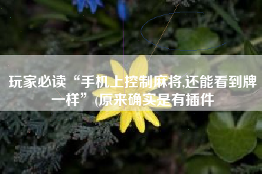 玩家必读“手机上控制麻将,还能看到牌一样”(原来确实是有插件 玩家必读“手机上控制麻将,还能看到牌一样”(原来确实是有插件