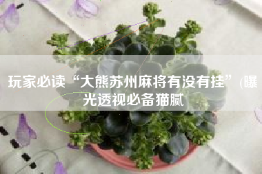 玩家必读“大熊苏州麻将有没有挂”(曝光透视必备猫腻 玩家必读“大熊苏州麻将有没有挂”(曝光透视必备猫腻