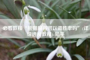 必看教程“熊猫麻将可以调胜率吗”(详细透视教程)-知乎 必看教程“熊猫麻将可以调胜率吗”(详细透视教程)-知乎