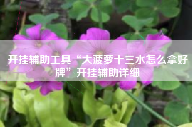 开挂辅助工具“大菠萝十三水怎么拿好牌”开挂辅助详细